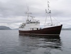 Arctic Janus