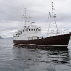 Arctic Janus